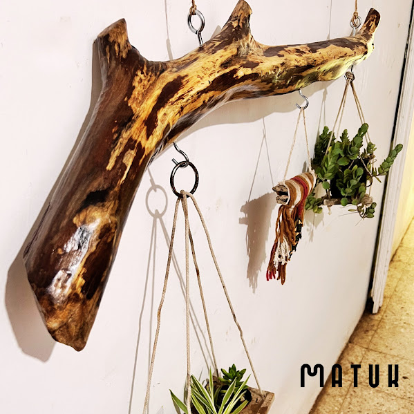 Perchero de rama natural con plantas colgantes