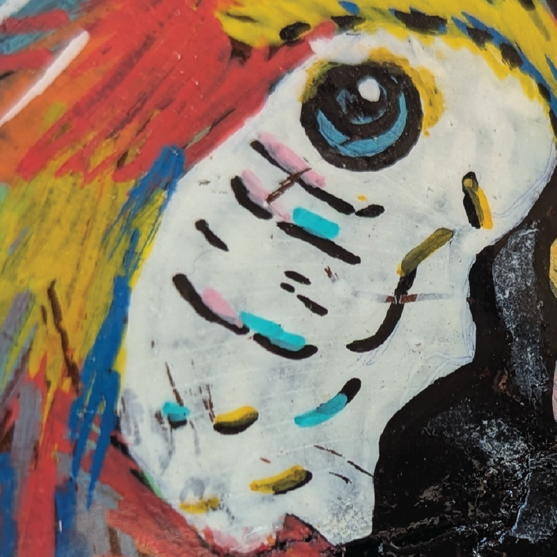 Guacamaya sobre madera