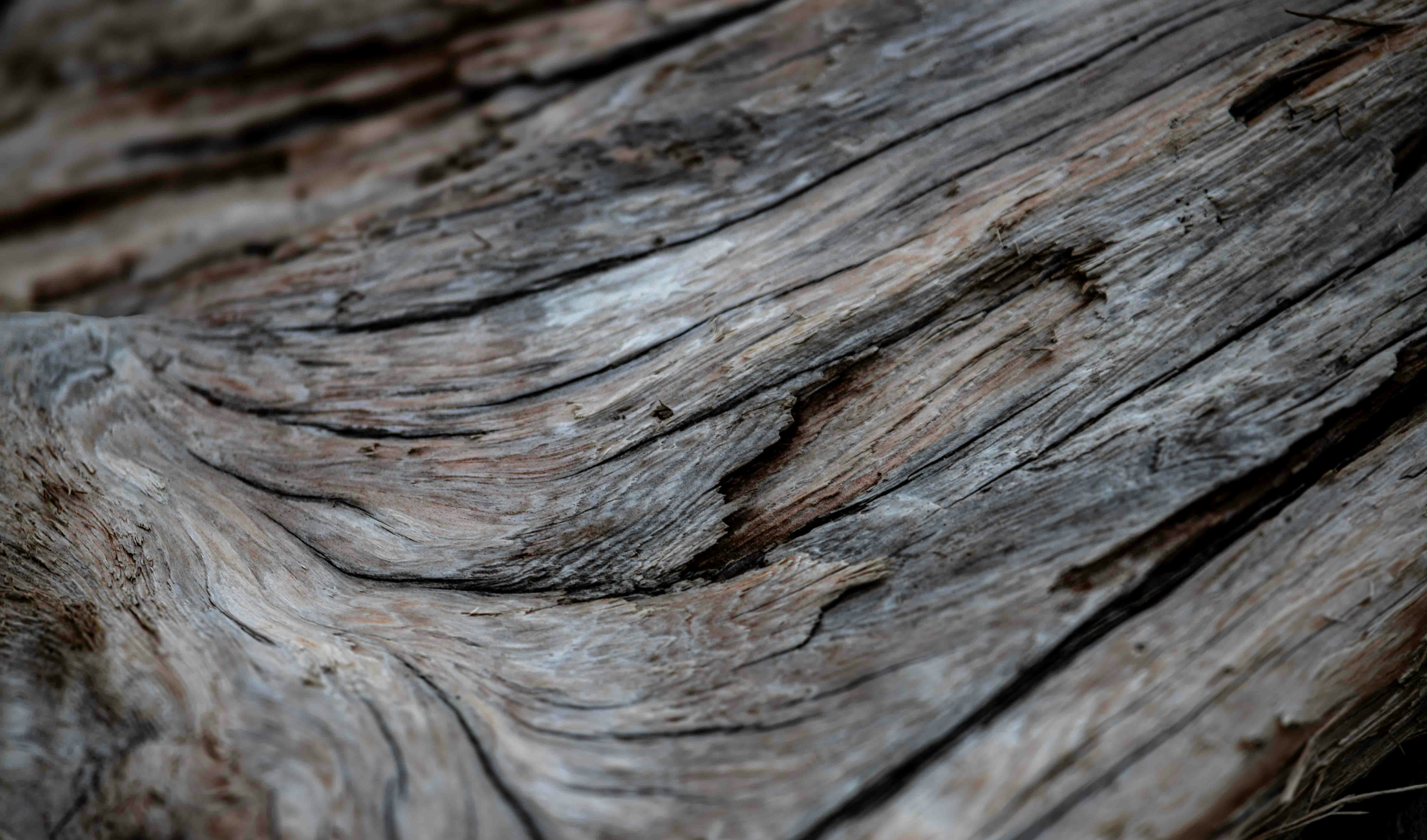 Detalle de madera trabajada en el taller